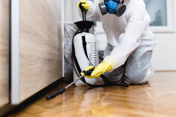 Best Wildlife Control Services  in Ashdown, AR