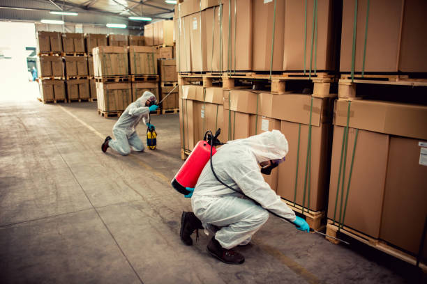 Best Affordable Pest Control Services  in Ashdown, AR