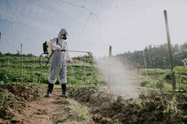 Best Mosquito Control Services  in Ashdown, AR