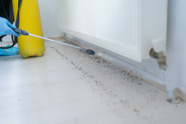 Best Commercial Pest Control Services  in Ashdown, AR