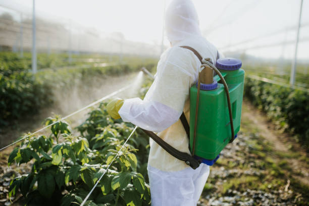 Trusted Ashdown, AR Pest Control Experts